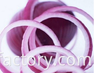 Exporters fresh market prices red onion for importers